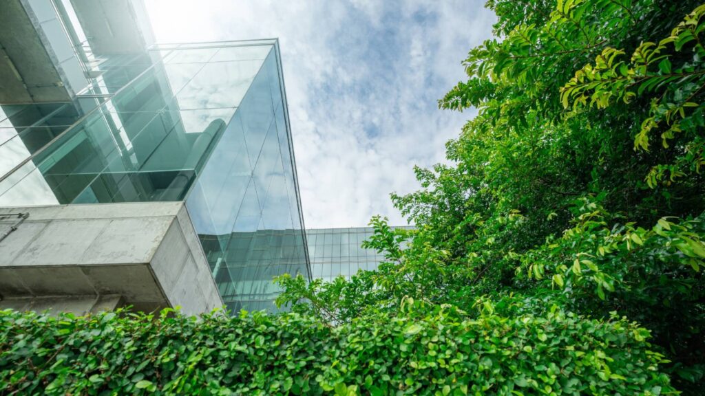 Sustainability in Access Flooring: Green Solutions for Eco-friendly Buildings